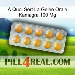À Quoi Sert La Gelée Orale Kamagra 100 Mg levitra1